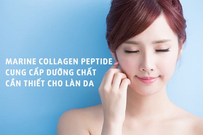 Marine Collagen Peptide giá bao nhiêu? Có tốt không?