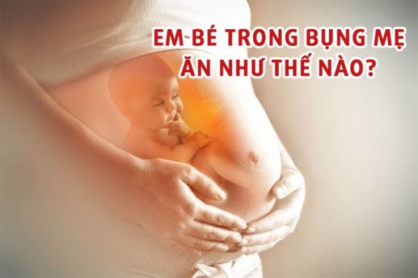 Em bé trong bụng mẹ ăn như thế nào?