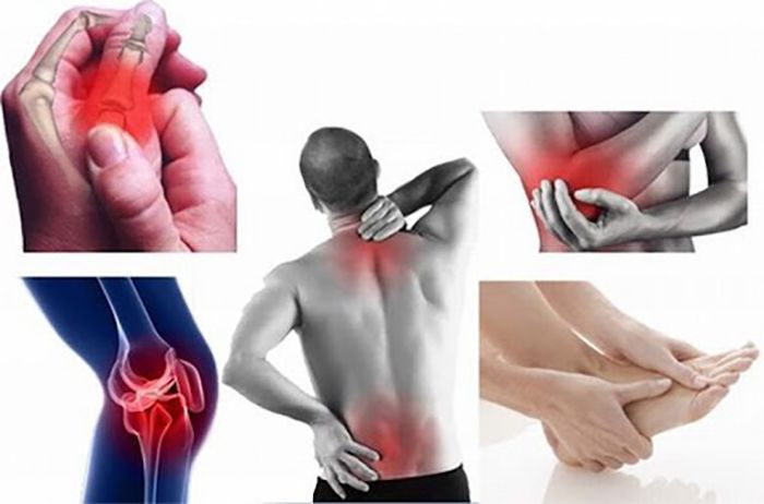 Hoàng Cốt Vương Giá Bao Nhiêu? Có Tốt Không?