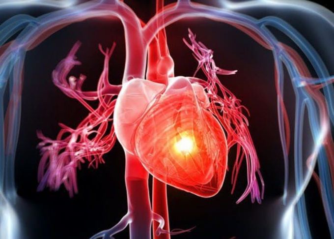 Tim nằm ở đâu? Cần làm gì để tim luôn khỏe mạnh