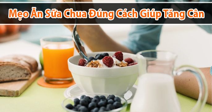 Mẹo ăn sữa chua đúng cách giúp tăng cân hiệu quả tốt cho sức khỏe