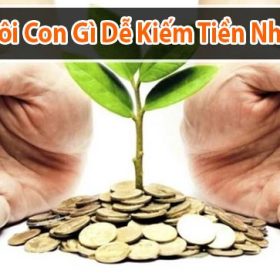 Nuôi con gì dễ kiếm tiền nhất?