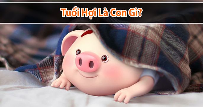 Tuổi Hợi là con gì? Người tuổi Hợi sinh năm bao nhiêu?