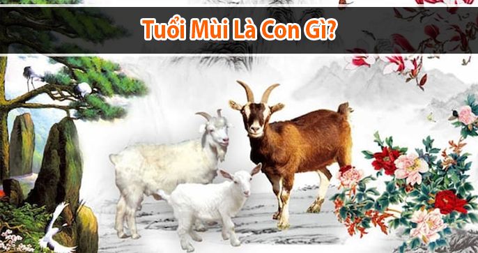 Tuổi Mùi là con gì? Người tuổi mùi sinh năm bao nhiêu?