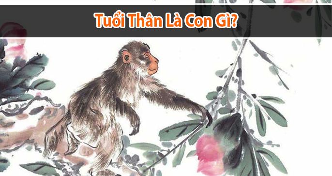 Tuổi Thân là con gì? Người tuổi Thân sinh năm bao nhiêu?