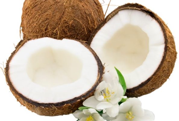 Dừa sáp là gì? Dừa sáp là đặc sản của tỉnh nào?