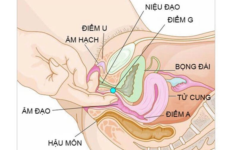 Điểm G có nghĩa là gì? Cách xác định điểm G giúp phái nữ thăng hoa khi “yêu”