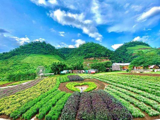 Những điều cần tìm hiểu trước khi đi du lịch Mộc Châu