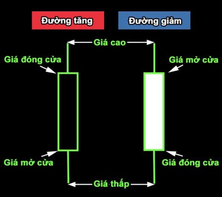 Tìm hiểu cách đọc biểu đồ nến Forex cho người mới bắt đầu