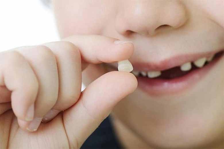 Mơ thấy rụng răng đánh con gì? Giải mã giấc mơ chính xác! 
