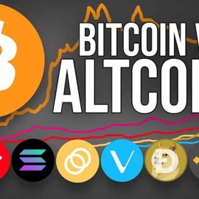 Nên Đầu Tư Bitcoin Hay Altcoin Trong Năm 2025?