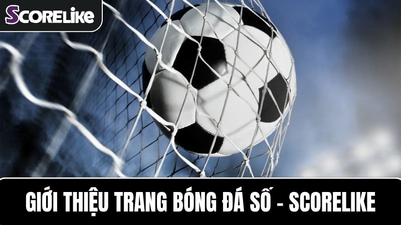 Scorelike - Trang xem TTBD, tỷ số bóng đá, BXH mới nhất