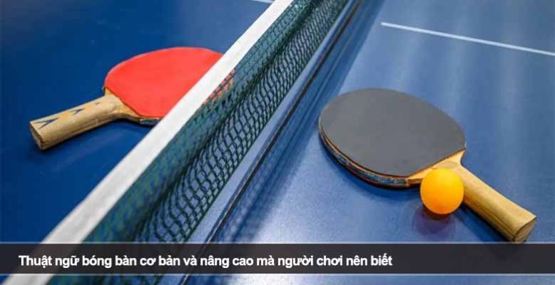 Thuật ngữ bóng bàn cơ bản và nâng cao mà người chơi nên biết