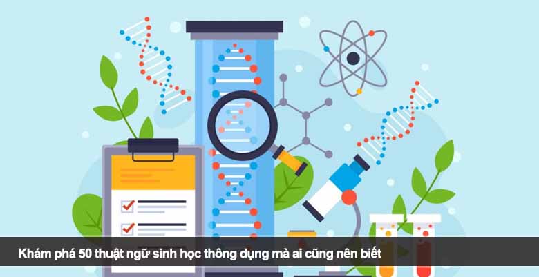 Khám Phá 50 Thuật Ngữ Sinh Học Thông Dụng Mà Ai Cũng Nên Biết